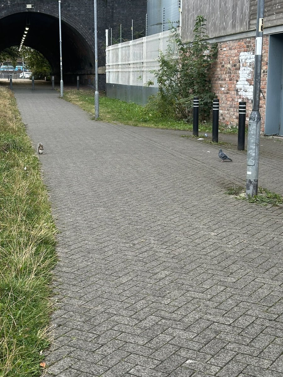 Seems we have some sort of Mexican standoff