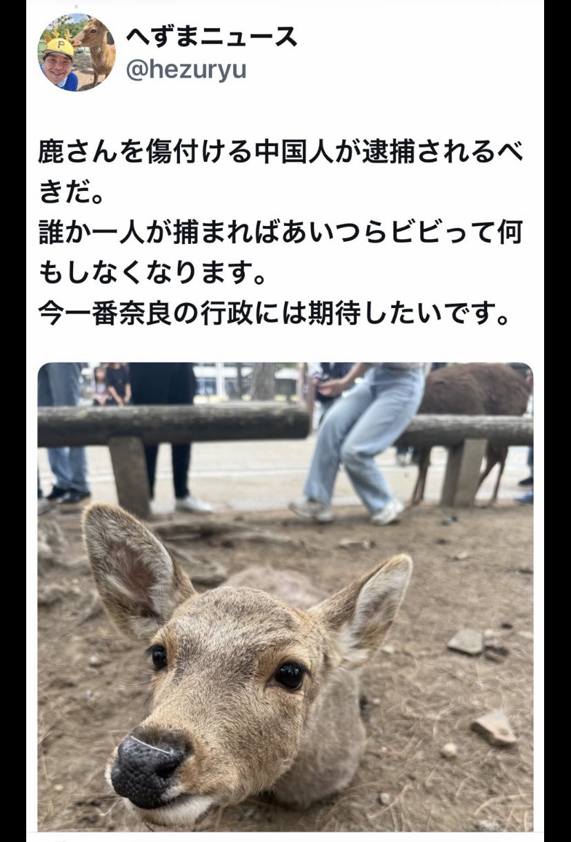 茂木陽一 世界を釣る　初版 茂木陽一写真集 - YOICHI MOGI
