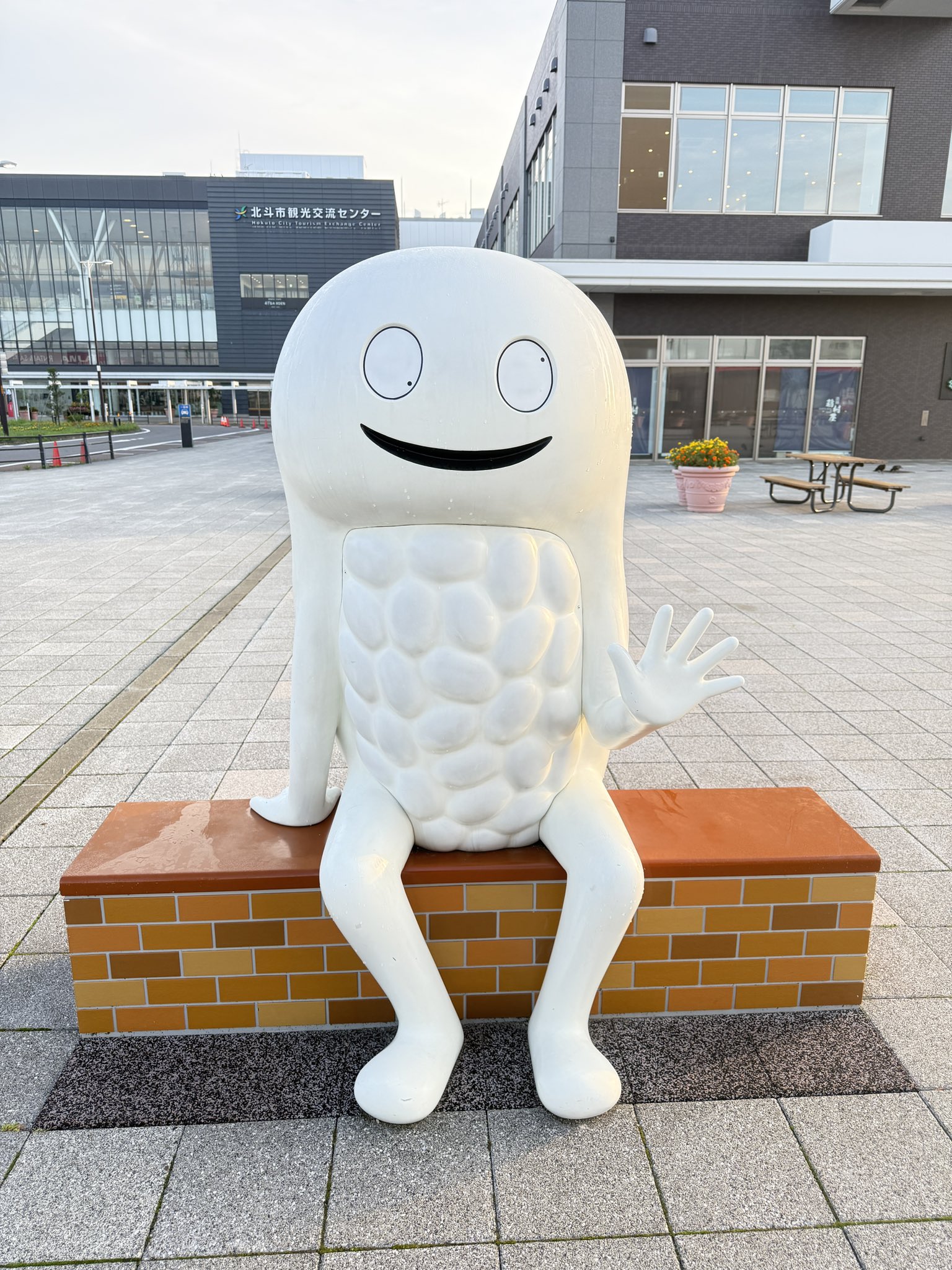 【みっちゃんさんページ】 みっちゃん🐝🌻 (@michichan888) / X