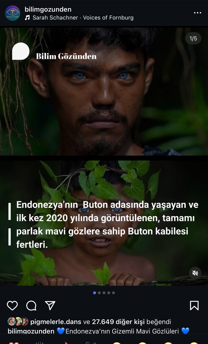 ifkoparan's tweet photo. Random bir instagram sayfası haberi, fotoğrafı alıp evinden %100 yanlış bilgilerle paylaşıyor 1 milyor beğeni. Ben dünyanın öbür ucunda adamları bulup, olayın özünü araştırıp konuşuyorum, nerede yaşadıklarını gösteriyorum 0 ilgi. Bu ülkede kimse bir şey üretmez tabii ki https://t.co/vtSOs0DTaM