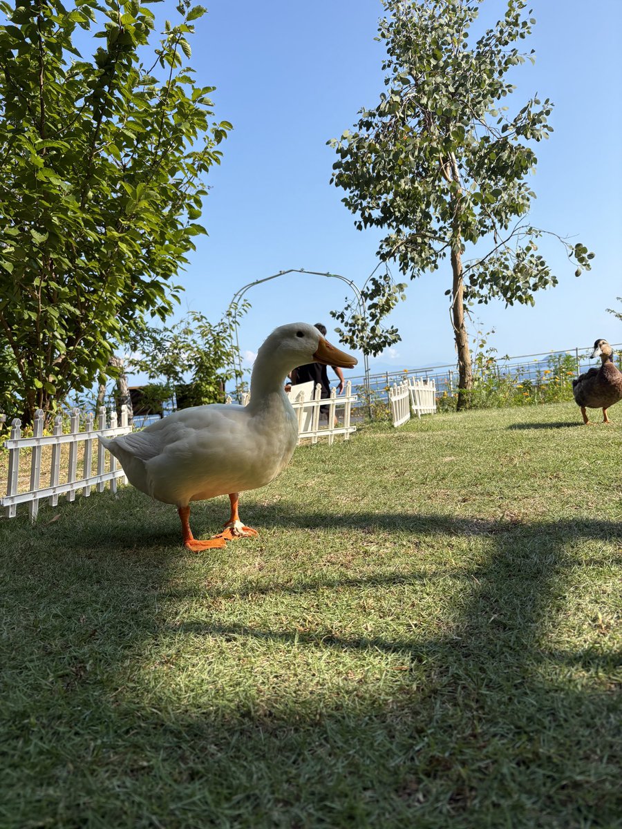 夏が終わるよ
