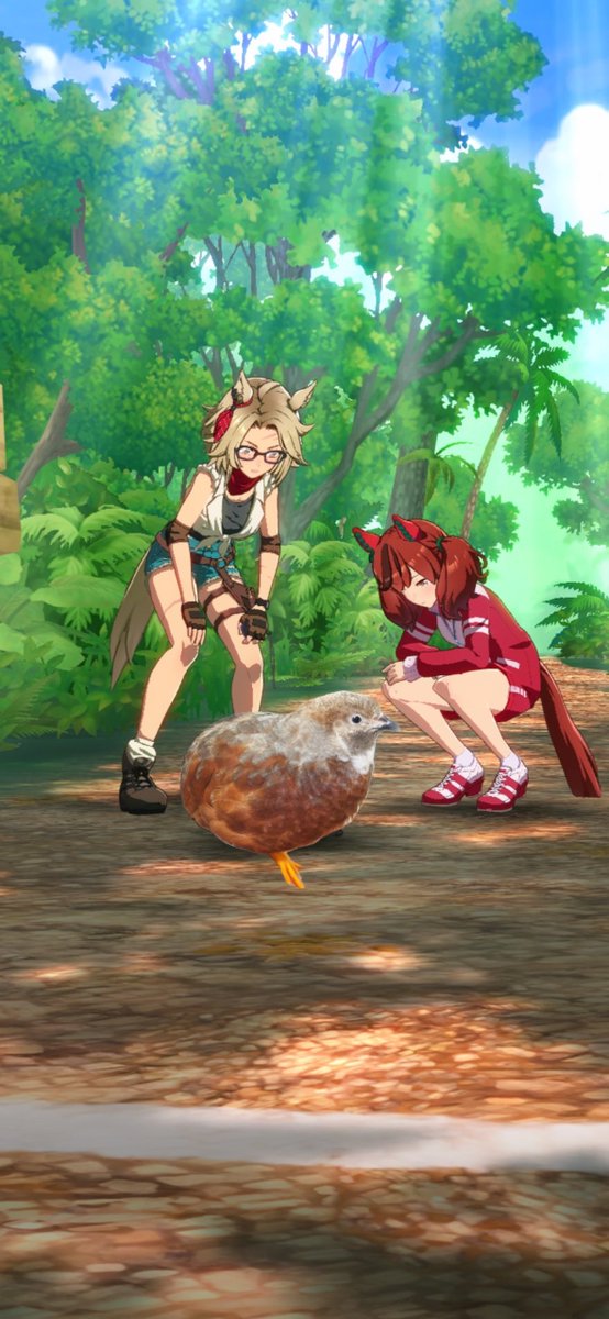 ポポチョロ🐦💨 (@1b4fc39ec9e04d3) / X