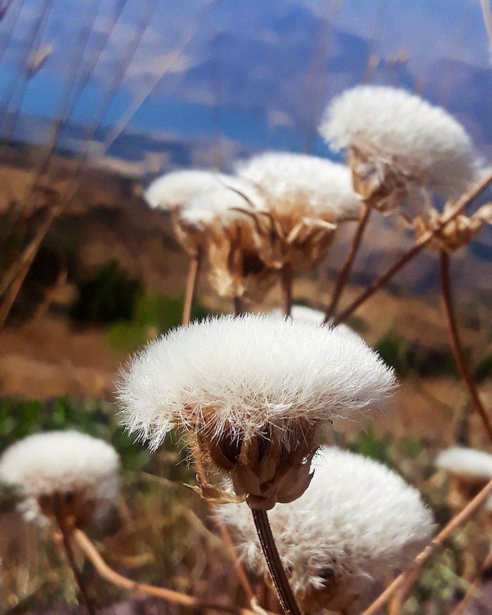 Hoş geldin #Eylül 🍁
Kalbimizi umutla, ruhumuzu huzurla doldur. 🤍

#Günaydın ☀️