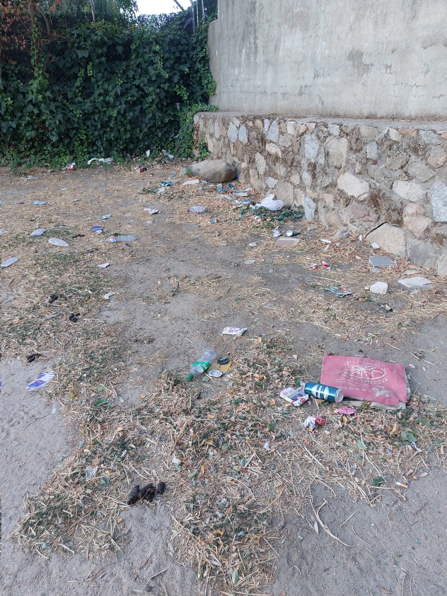 Por favor, el parking Roseles sigue cochambroso. Es un vertedero cagadero. #Moralzarzal