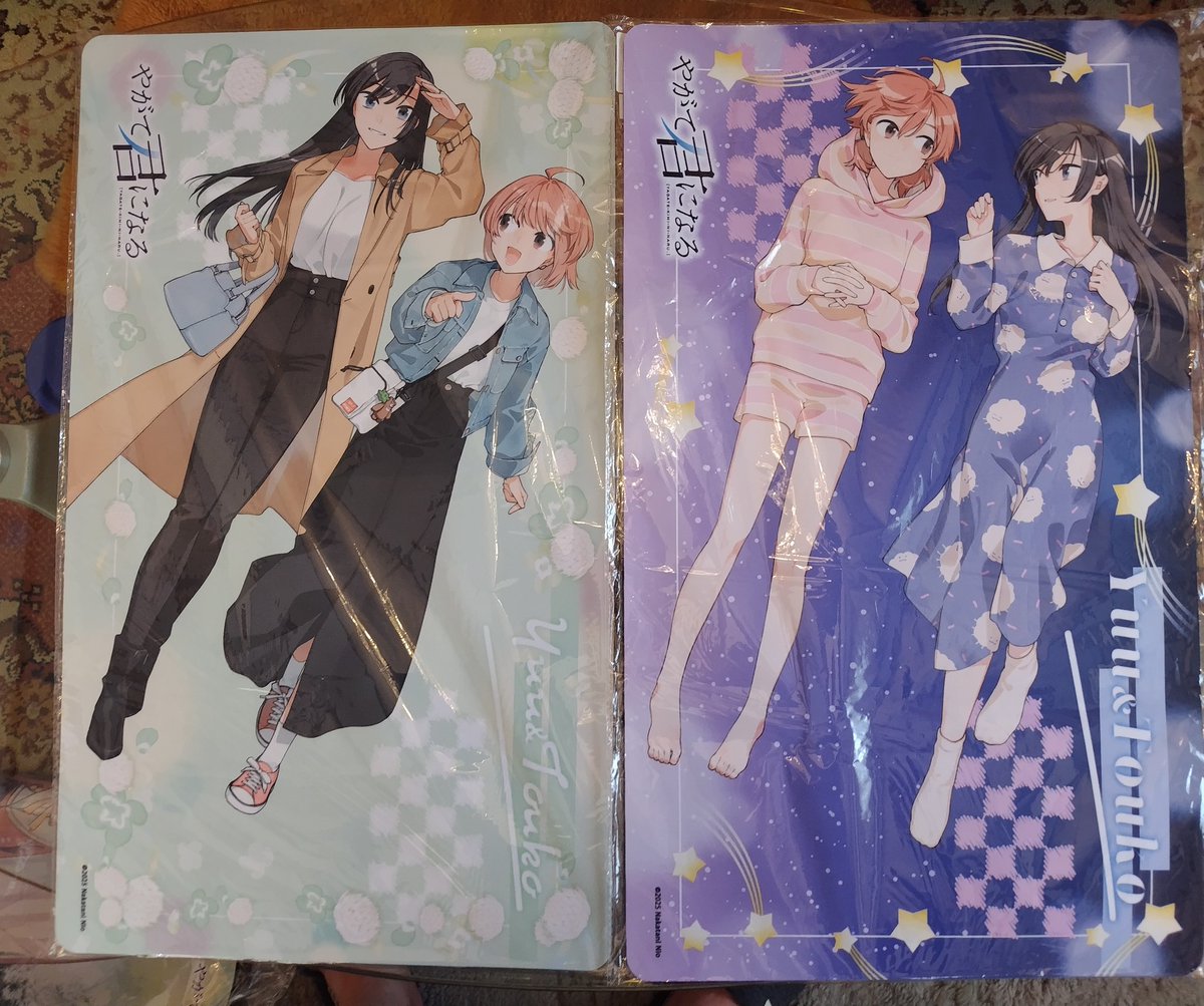 hoseyaga's tweet photo. やが君10周年記念グッズ届いた〜！
こうして新規が出てくれるのホントありがたい…
仲谷先生の新連載も楽しみにしてます。
#やがて君になる https://t.co/MzOjJAGwpw
