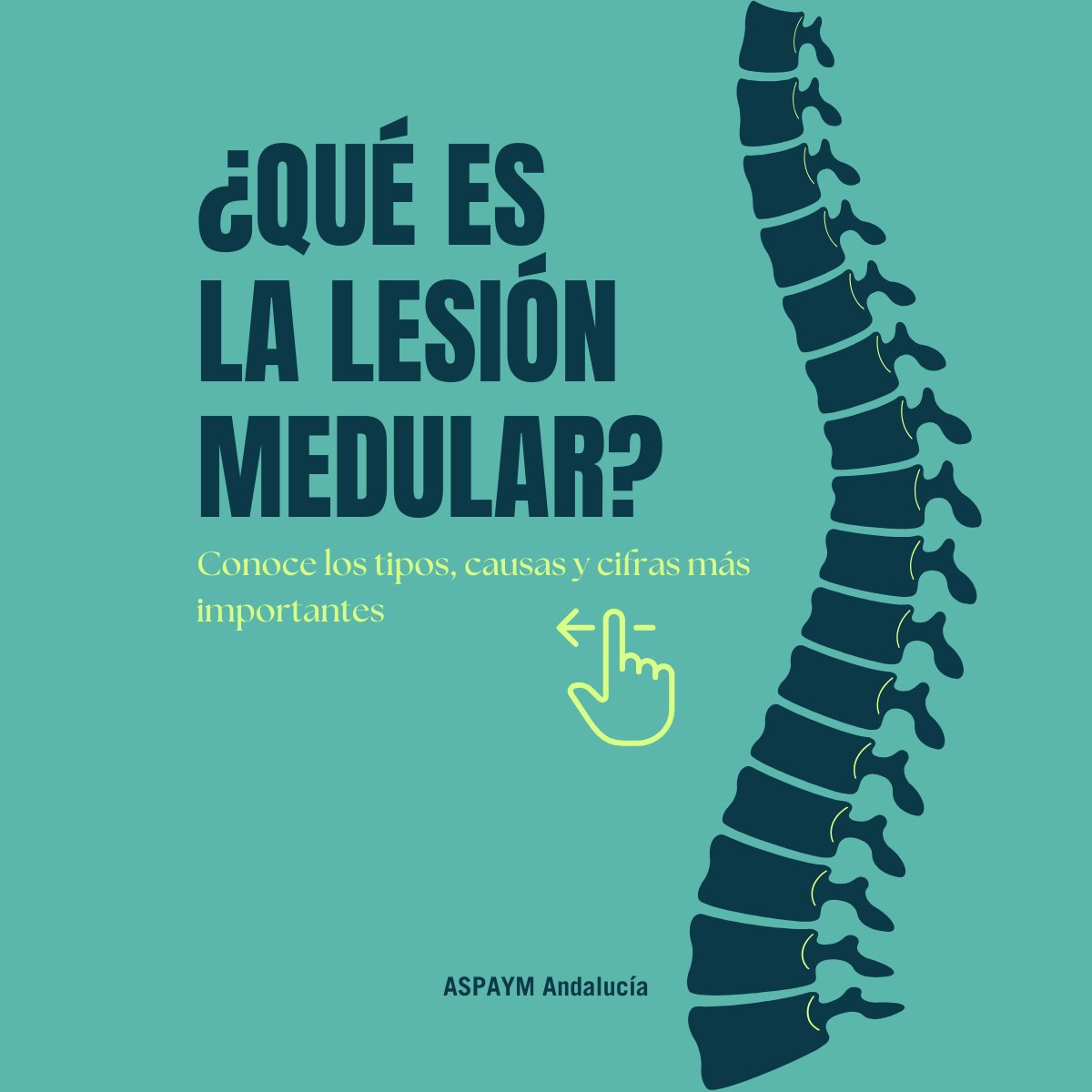 La #lesiónmedular es una realidad que afecta a miles de personas en Andalucía: se estima que + de 27.000 personas.

Este 5 de septiembre es el #DíaDeLaLesiónMedular, y durante esta semana compartiremos información para dar visibilidad a su impacto en la vida diaria.

Comenzamos🧵
