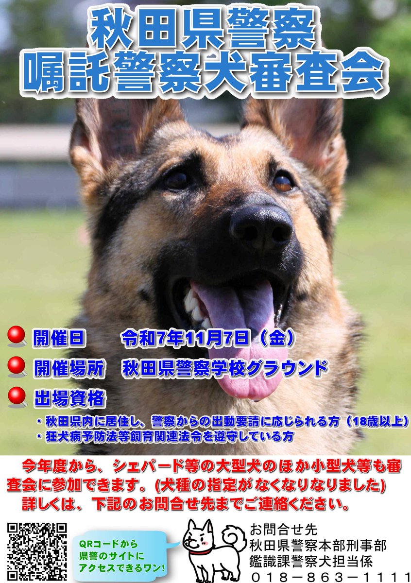 【強者警察犬さん　専用】 スキッパーキが京都で嘱託警察犬に認定 先輩小型犬と爆発物捜索