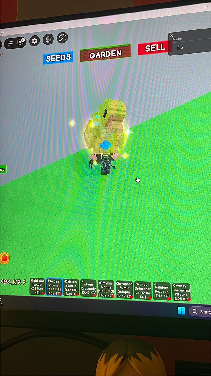 Rio & Vera; pilot genshin, hsr, lads, roblox ✮ tweet media