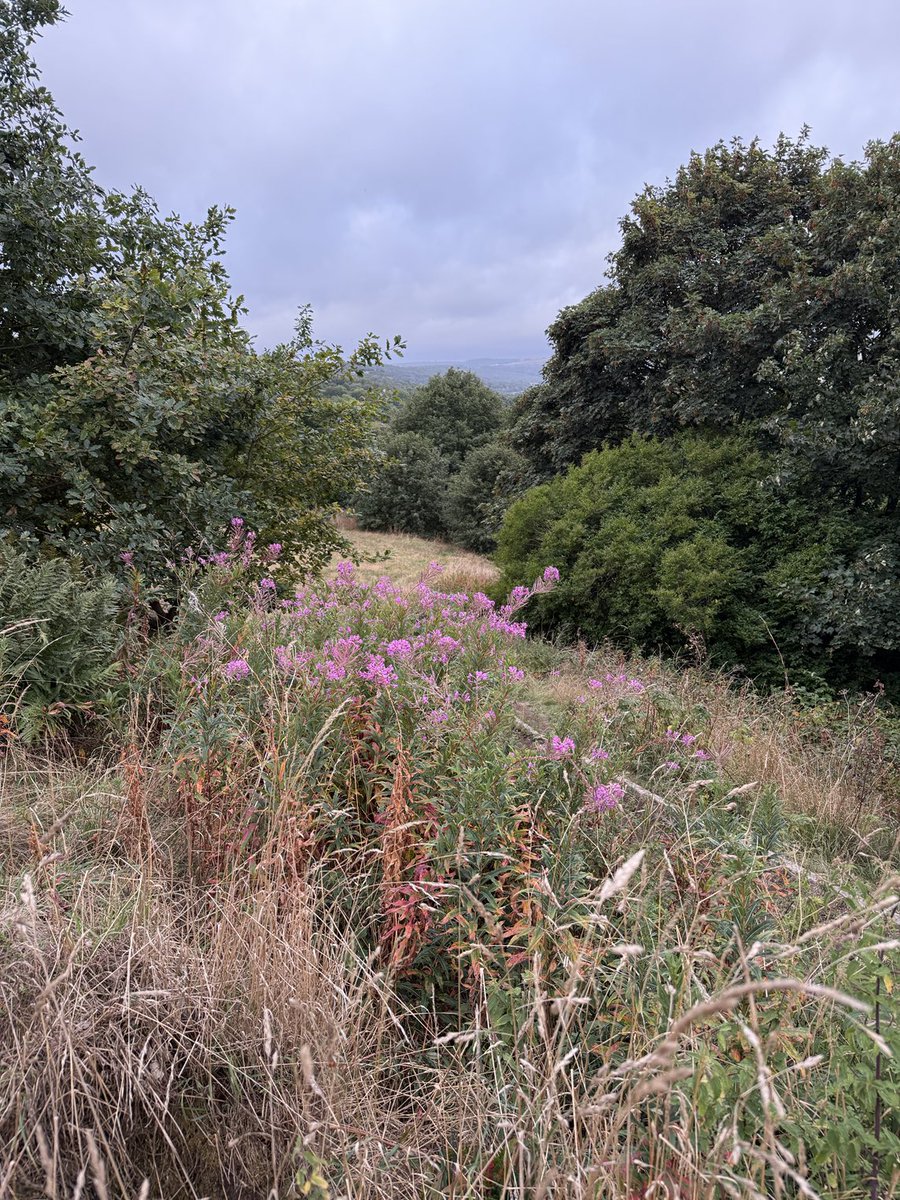 staithesartist's tweet image. A cool and cloudy start to the day on my #briskwalk which included a detour to the Post Office. The first 30 #calendars sold are on their way!