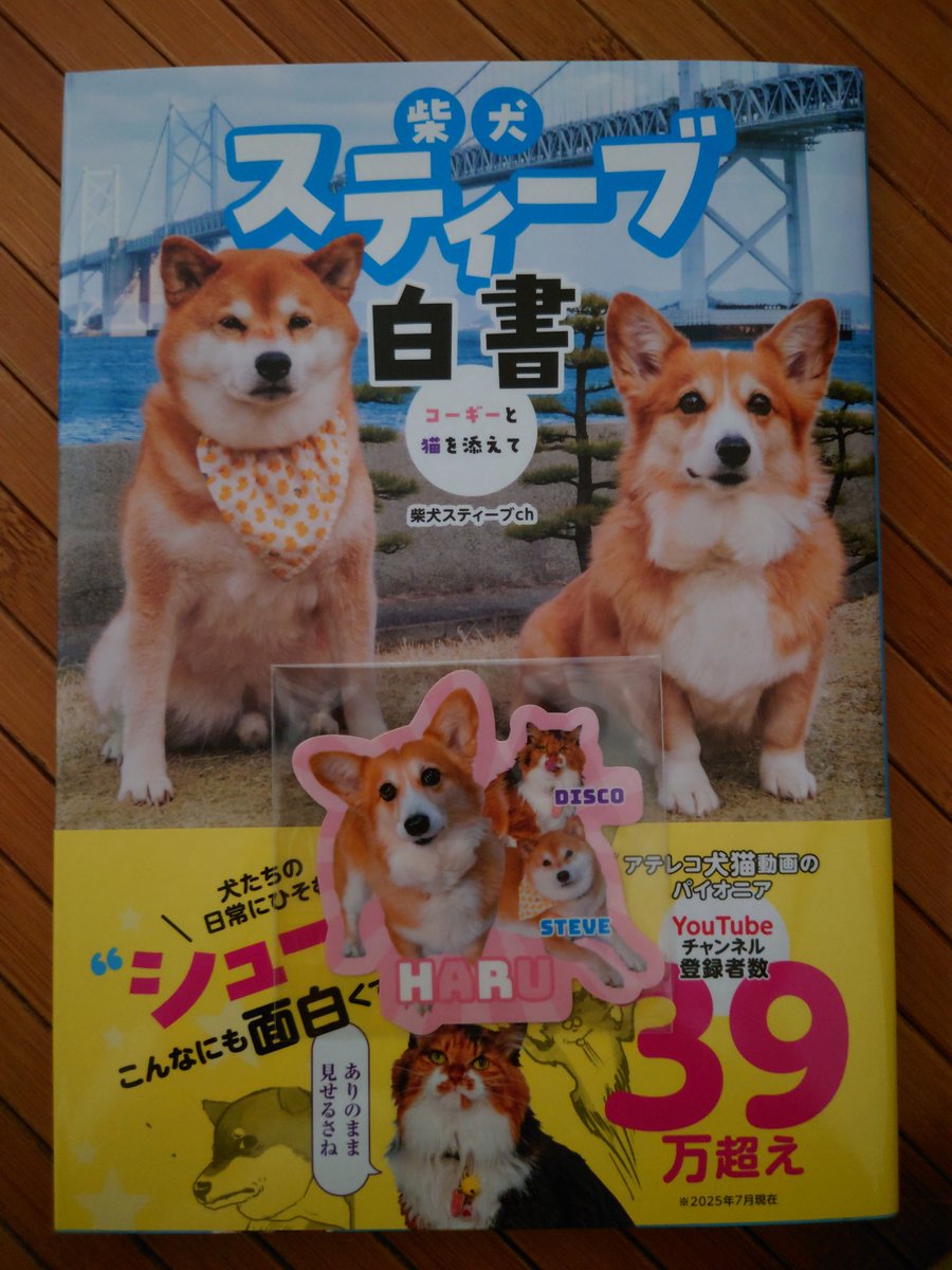 Shi-Ba【シーバ】＋犬びより (@ShiBa2929) / X