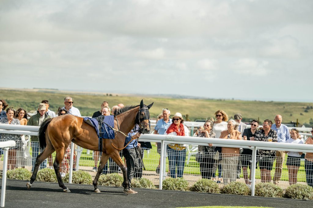 🏇 We are racing today 🏇 
🍁 Autumn Afternoon Racing 🍁 

🔒 Gates Open: 12.15pm
⏰ First Race: 14.15pm
⏱️ Last Race: 17.22pm
🐴 7 races 
🌱 Going: Good, Good To Firm In Places

🎟️ Tickets available