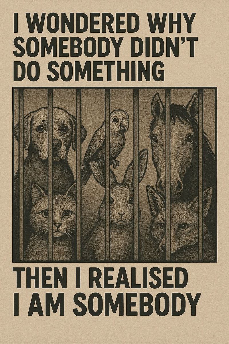 🚨SAY NO TO ROGUE RESCUES🚨

Show <a href="/watkinsonphoto/">paulwatkinson</a> some support tonight as he walks 41 miles to highlight this petition to the BBC &amp; ITV 

petition.parliament.uk/petitions/7186…

🚨STILL NEED 14,897 SIGNATURES BY 8TH OCTOBER 2025🚨

🙏All animal lovers need to stop &amp; read this UK petition, sign