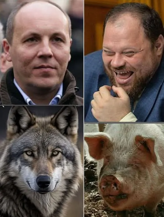 ppe_format_ua's tweet photo. Старе і нове обличчя законодавчої влади. Порівняйте непорівнюване.... Якщо це у вас вийде ... https://t.co/Ig5RZkqcIf