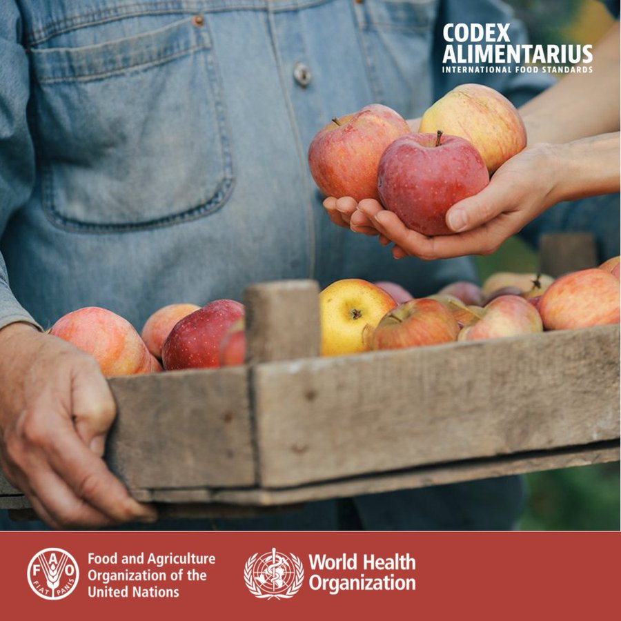 FAOWHOCodex's tweet photo. ๐ | #CodexDictionary | Grower โ A person responsible for the management of the primary production of fresh fruits and vegetables.
โโน๏ธโก๏ธ https://t.co/En1iiM1hnb
๐ฉโ๐พ๐๐๐ฝ๐ง
๐ฅฌ๐
๐จโ๐พ
#FoodSafety | #FoodTrade https://t.co/mHLQQAC1aO