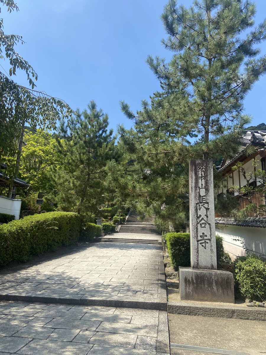 tomozo5941's tweet photo. 長谷寺行って来た🧿
紫陽花の時期じゃないからめっちゃ空いてた🪷
#奈良 #長谷寺 https://t.co/z5ATfAwNO4