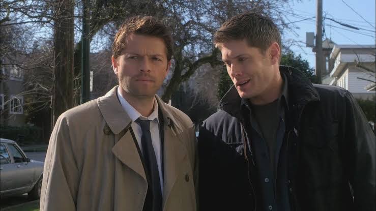 dayeablo's tweet photo. don't let the colors of their coats fool you https://t.co/Yd0Lkjp2AF