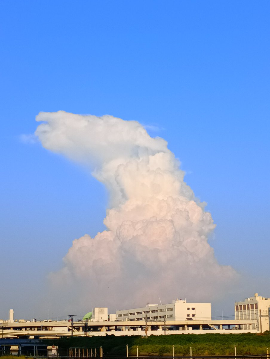 chan63_o's tweet photo. Ｋアリーナ横に出た昨日の雲と一昨日の雲が気になりすぎて、、もしかしてあなた方も見に来てした？ https://t.co/AqUcHOCp0W
