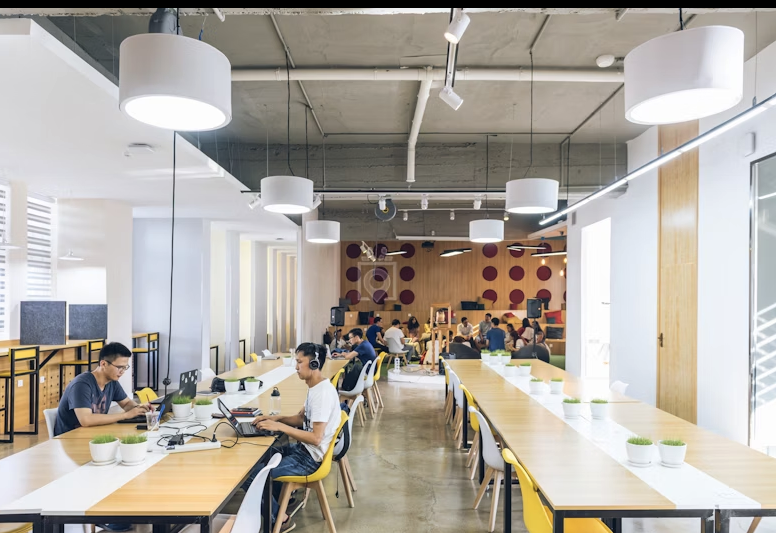 Ryan Doyle tweet media