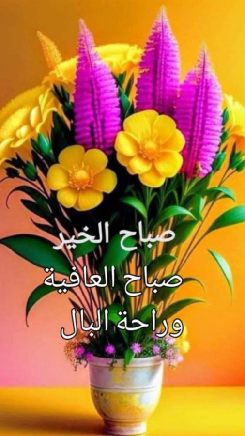 رمادية الهوى (@soha011012) on Twitter photo 