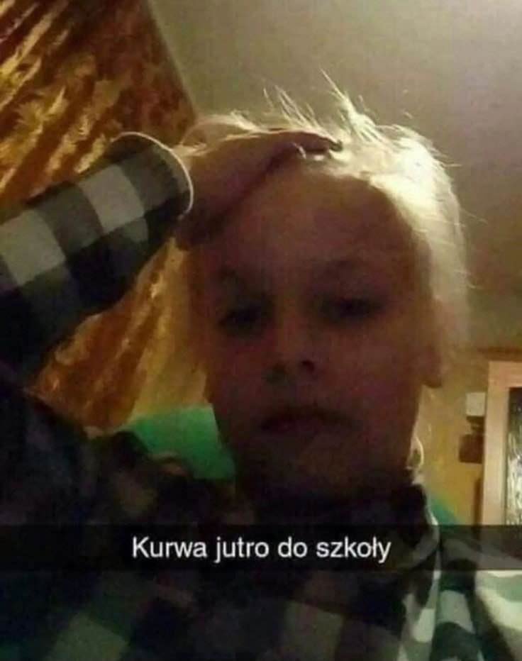 Ivaxa tweet media