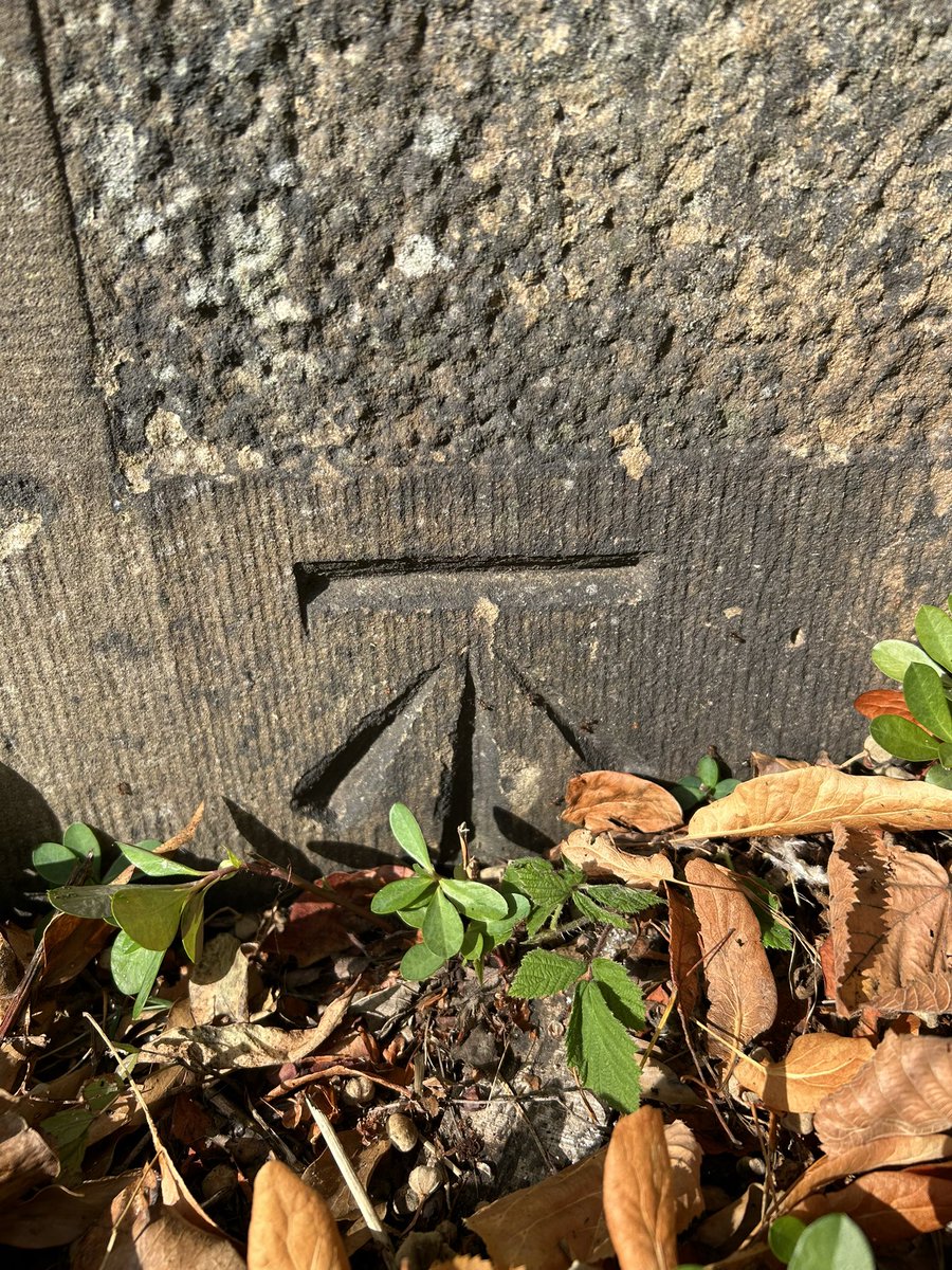HellingtonBoots's tweet image. Beautiful gates to Worsbrough Cemetery 🪦 and a sharply defined #Cutmark too 😍
@LoveOfGates 
#BenchMarkMonday 📍
#AllMetalMonday 🔩
#LegsAndLaces 👟