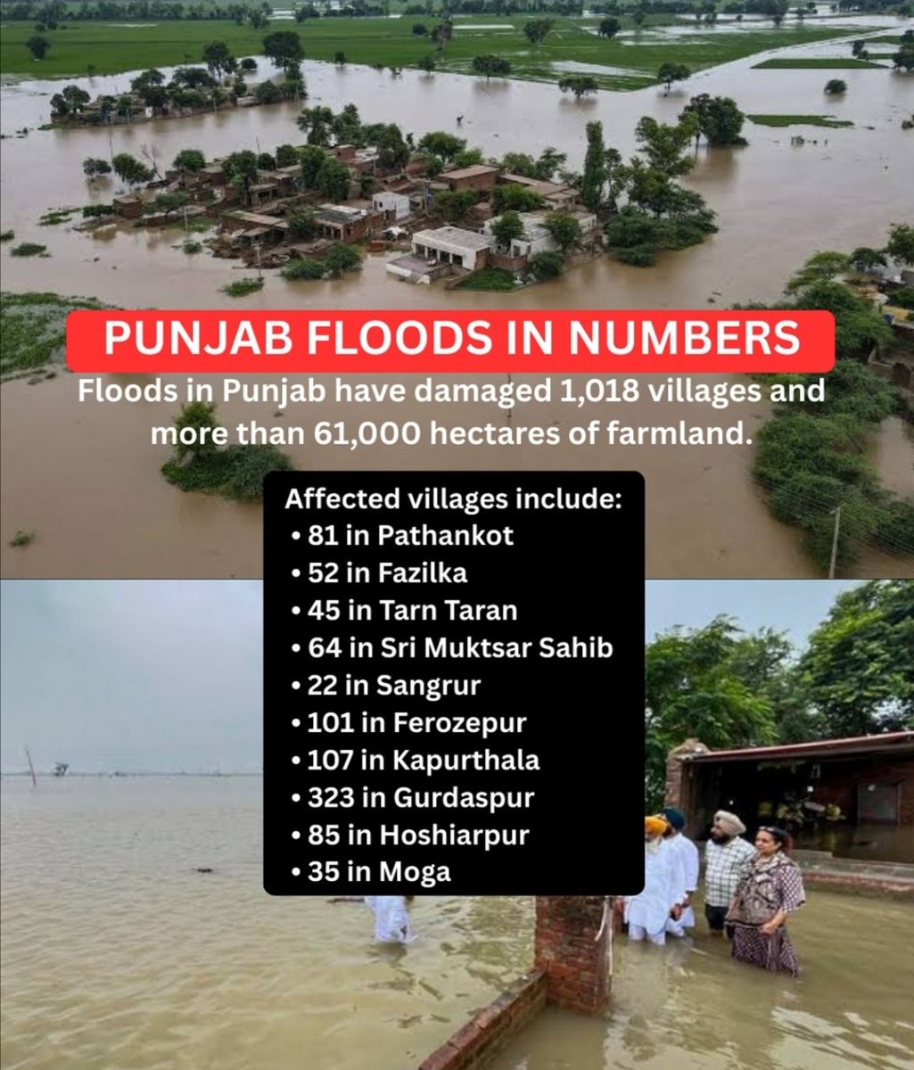 RandomarrestOFC's tweet photo. @SonuSood 🙏🙏
Sonu Sood shared a post stating "I stand with Punjab" people who have been affected by these devastating floods are not alone. Together, we will help every single person to get back on their feet. 
#PunjabFloods #PunjabFloods2025 
#Punjab https://t.co/kOX81eJDp4 https://t.co/rYNXtqrKFp