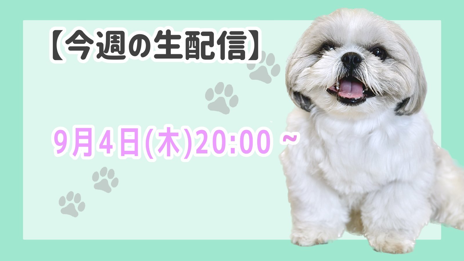 シーズーのミント🌱 (@Mint_ShihTzu) / X