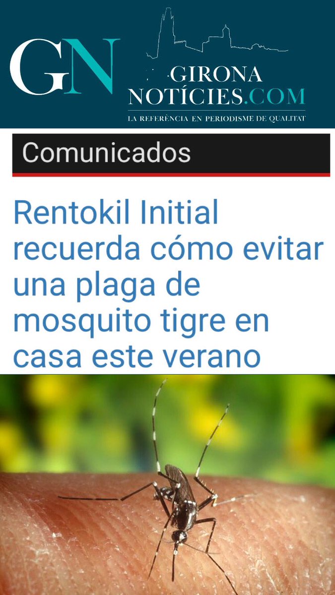 rubueno10's tweet image. 📢 La comunicación efectiva y preventiva a los cuidadanos, es clave en la #LuchaAntivectorial‼️
🦟 Información y consejos preventivos para mantener a raya al #MosquitoTigre ✔️
#ControlVectorial #AedesAlbopictus #Arbovirosis #Dengue #Chikungunya
👉🏻 gironanoticies.com/comunicado/277…