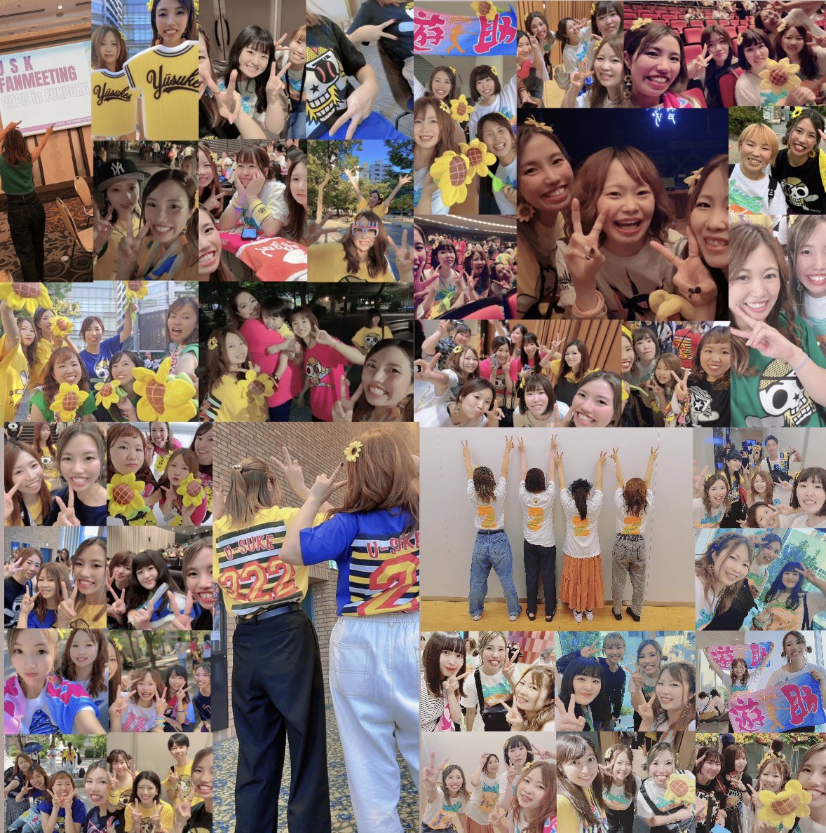 ✼しゅうまい✼ tweet media