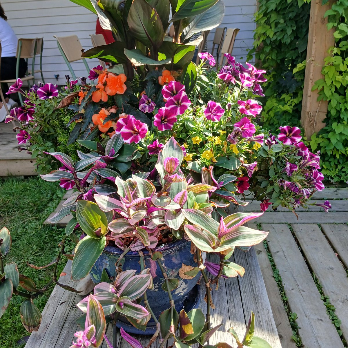 💌🇵🇸 Don't forget I'm adding €5 to every d0nation made to Iman (<a href="/halajb87/">٠٠</a>)'s campaign.

Help her support her beautiful family of 7 #Gaza. 

gofundme.com/f/donate-to-he…

#Palestine #PalestinianLivesMatter #GAZA_APPEALS_TO_YOU