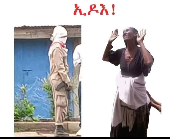 MasharadaSolo's tweet photo. #ግዜ_መምህር ይኡ ❗️

.ብዙሓት ፈተውቲ መስሎም ፀለእቲ ሃም ለለው ትማህርና የና።  #ኣዶ_ራያ ናተይ እላ ብልኣመነቶም ፣ ትማሊ ቑስሉ ሓክማ ስንቂ ልኾነቶም ተኻሕዳ ፣ #ቓታልኣ_ከይተላሊ ኣልሸባብ መስሎም ትጭፍጭፊዋ ተለው ገለኡ እሰይ ብሃሊ ገለኡ ፀግዑ ሕዙ ይዕዘብ ኣሎ ፣ ፀገም የለይ ለይፀልመተ ኣይወግሕይ ። 

.እቲ ብጣዕሚ ዘግረመለይ ግን እሶም ኣልሸባብ መስሎም ህዝቢ ራያ ክጭፍጭፉ ለይሓፈሩስ TDF እልኩም ትፃረፉና ኣለኹም እሎም ኡይይ ይብሉ ኣለው። 

📍እማ ናይ ሓደ ፍንጫል ጉጅለ ፣ ኮርን ልዕሊ ኮርን ትእዛዝ ትቐብለካ ቐታሊ ሙኻንካ ንከይትልለ ኣልሸባብ መስልኻ ህዘቢ ትጭፍጭፍ ለለኻ መን እልና ንፅውዐካ የኻ ደልኻ ?

✅TDF ስምኩም ብሕማቕ ከይለዓል እንተደልኹም ወፅእኹም ውግንናኹም ናይ ህዘቢ ምኻንኩም ትናገሩ።

✅እቶም ኣልሸባብ መስሎም ናይ መንጀርኖ ትእዛዝ ተቐብሎም ህዝቢ ዘበሳብሱ ለለው ብዕሊ ወፅእኹም ናዓኹም ሃምለይውክሉ ተናገሩ ።

🚨ካብዚ ወፃኢ ኣዶታት ራያ ክትጭፍጨፍ ትእዛዝ ናይ ሓደ ጉጅለ ገረድ ኾይንካ ህዘቢ ትቓትልን ተጋፍዕን ለይሓፈርኻ ኣልሸባብ እለ ክፅውዐካ ኣይ ሓፍርይ ። 

📍ካብ ህወሓት ህዝቢ ራያ ይዓቢ ☝️

@reda_getachew @neo_tigray @RayetayTdf05