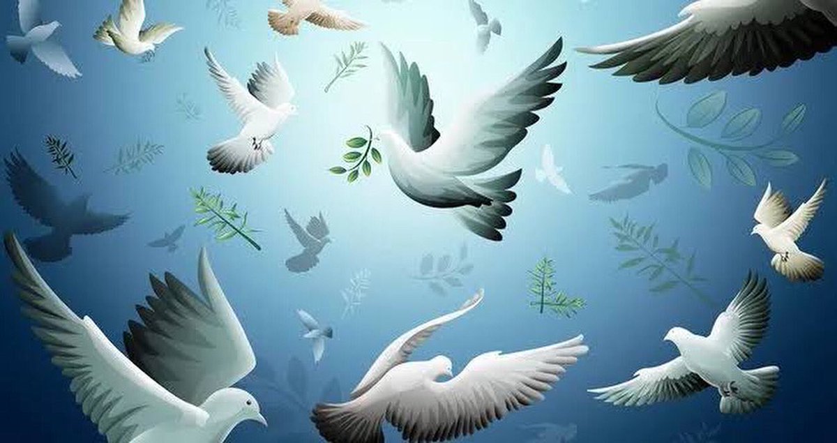 1 EYLÜL DÜNYA BARIŞ GÜNÜ KUTLU OLSUN