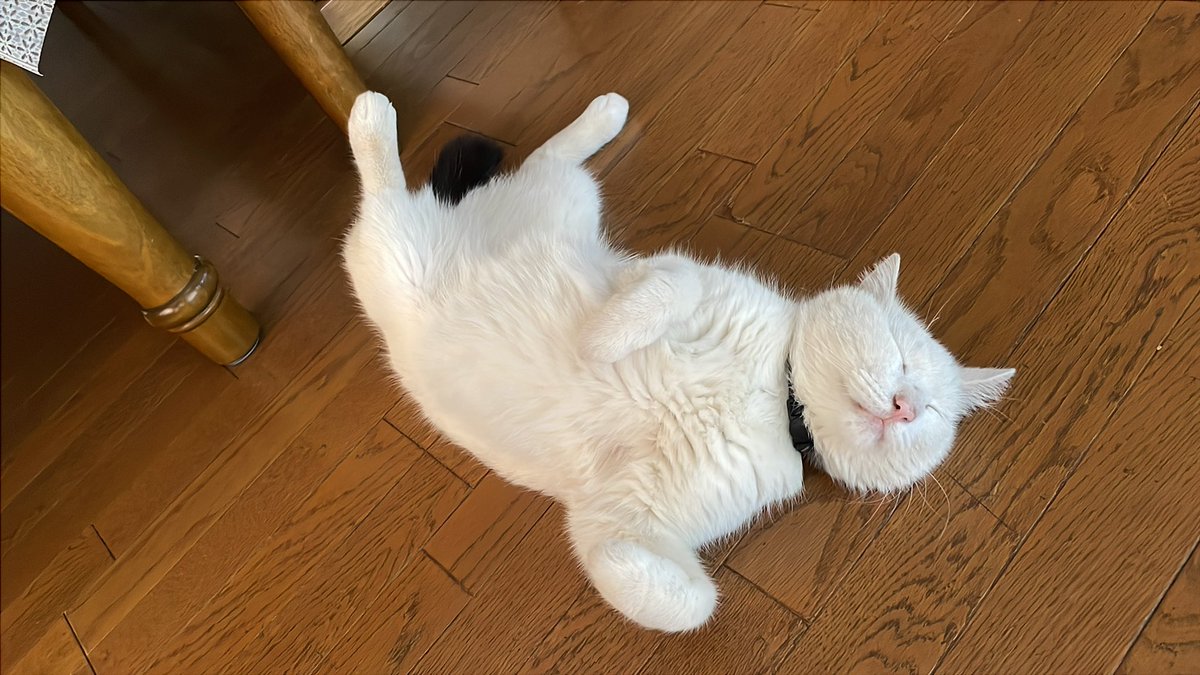 happylife (@migerufuji) on Twitter photo 