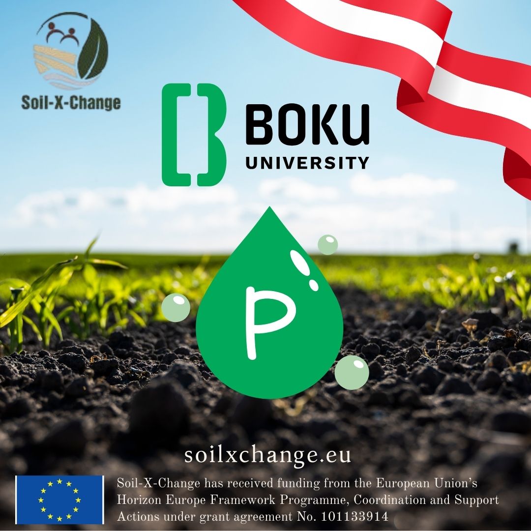 soilxchange's tweet image. 🔎Results from the EIP-AGRI PhosVer project are now online 
👉boku.ac.at/agri/oela/arbe…

Led by BOKU 🇦🇹, the project focuses on improving the management of phosphorus and offers a tool to estimate P mobilisation in soil. 

#Phosphorus #SoilXChange #SustainableAgriculture #EUProject