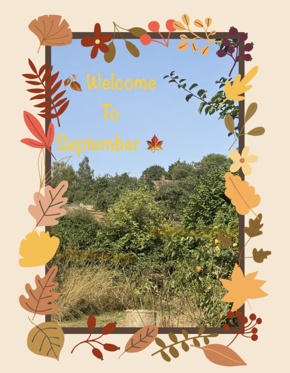 Good morning 👋🏻 #September #Pinchpunch  🐇🐇🐇#MeteorologicalAutumn 🌿🍂