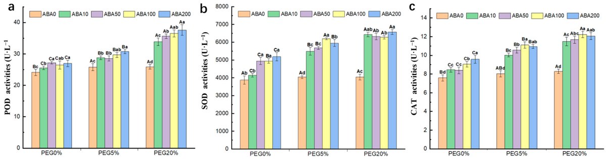 Applsci's tweet photo. π₯ Read our Highly Cited Paper
π Influence of #ExogenousAbscisicAcid on Germination and #PhysiologicalTraits of #Sophoraviciifolia Seedlings under #DroughtConditions
π https://t.co/DgGBnvyaSy
π¨βπ¬ Xin Rao et al.
π« @GuizhouU / Guizhou Academy of Agricultural Sciences / Guizhou Normal University
#seedgermination