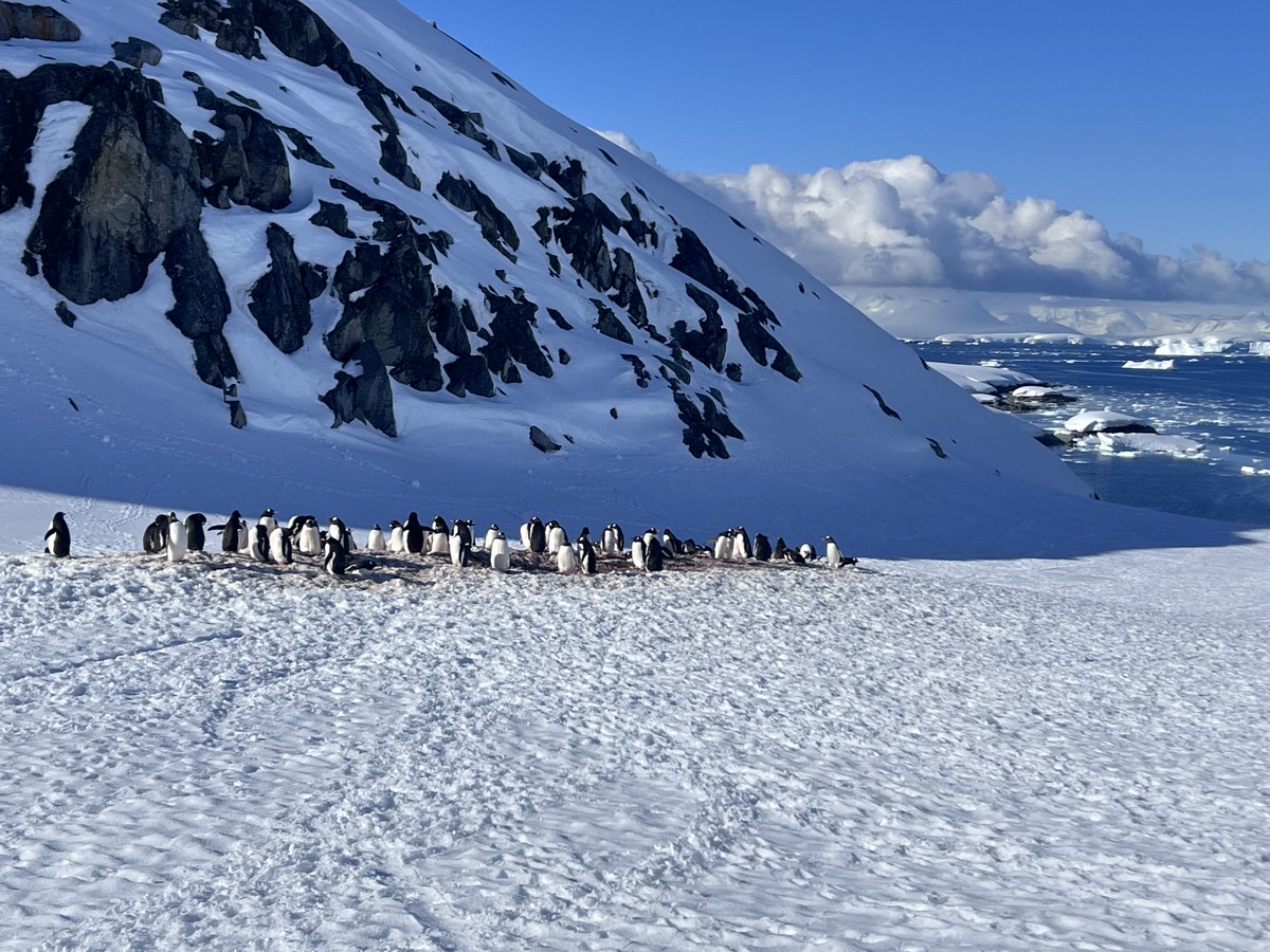 I do an occasional travel blog. Here is my record of our Antarctica expedition voyage in December 2022 (I know - catching up!).

wanderings.brmstewart.co.uk/.../30/antarct…

There's the official expedition video here:

youtu.be/lH4Y1V4Eb0A

#Hurtigruten #Antarctica #ArgyllRising