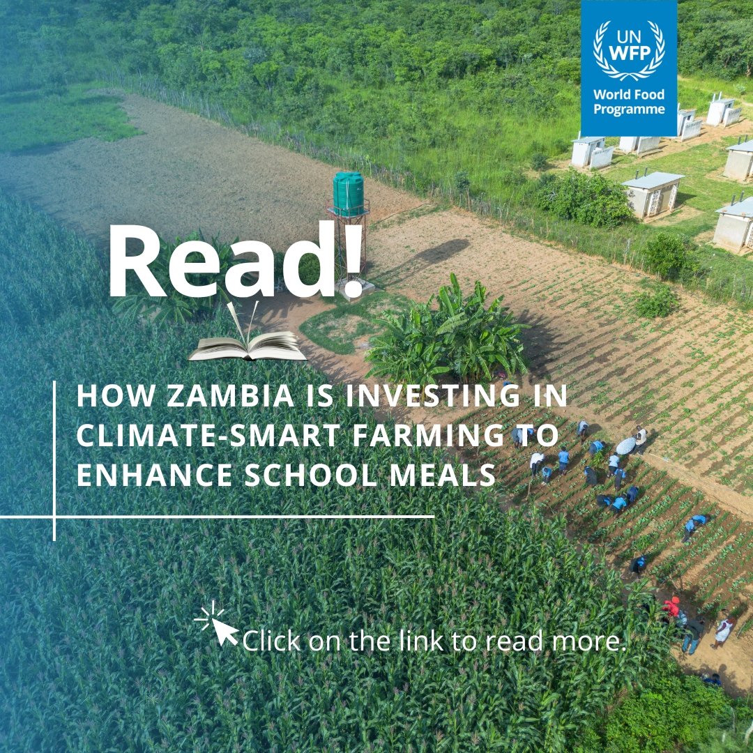 Today's Read 📘

How the 🇿🇲 Govt with <a href="/WFP/">World Food Programme</a> support is linking school meals to climate-smart farming—empowering students &amp; smallholder farmers. 

Irrigated gardens, drought-resilient seeds &amp; local markets are transforming nutrition.

Read more 👇 globalpartnership.org/blog/how-zambi…