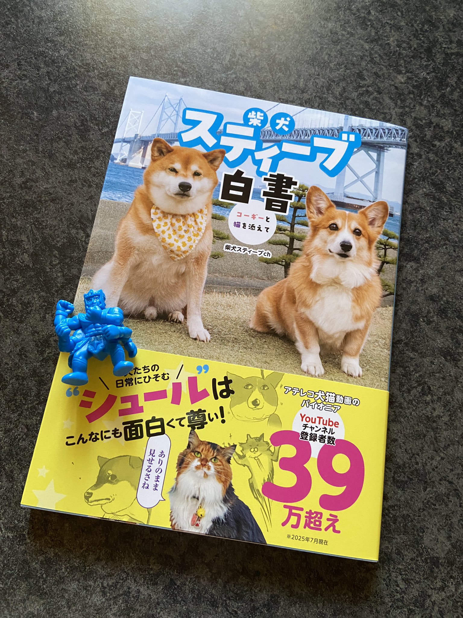 nicomoco (@nicomoco_m) / X