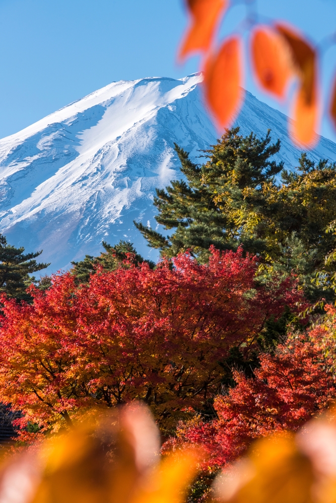 JRailPass | Enjoy Japan By Train tweet media