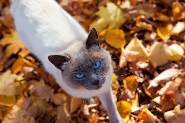 RtestrF's tweet photo. Syksyn ensimmäinen päivä!🍂 https://t.co/pfUMOOSb0t
