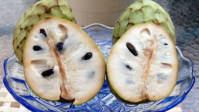 Andalucía Directo ❎ tweet media