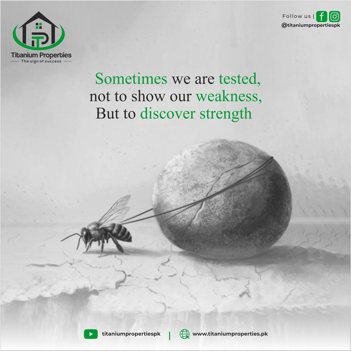 Titanium_Pvt's tweet photo. 💡 Sometimes tests aren’t here to expose our weakness, but to reveal our strength. 💪✨
Keep pushing forward — your struggles are shaping your success. 🚀
#MondayMotivation #TitaniumProperties #DiscoverStrength
📍 https://t.co/FawzyVRkMo https://t.co/gTUkbzF8zM