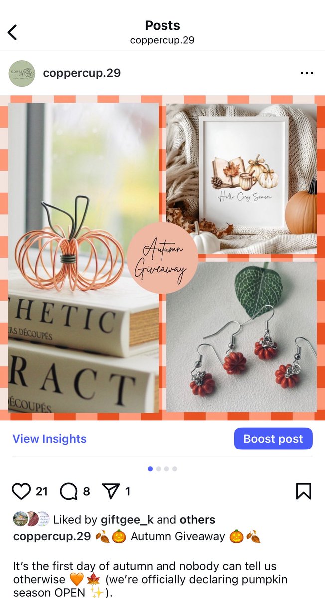 Copper Cup - Lauren tweet media