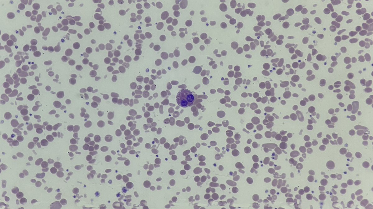 BloodScientist tweet picture