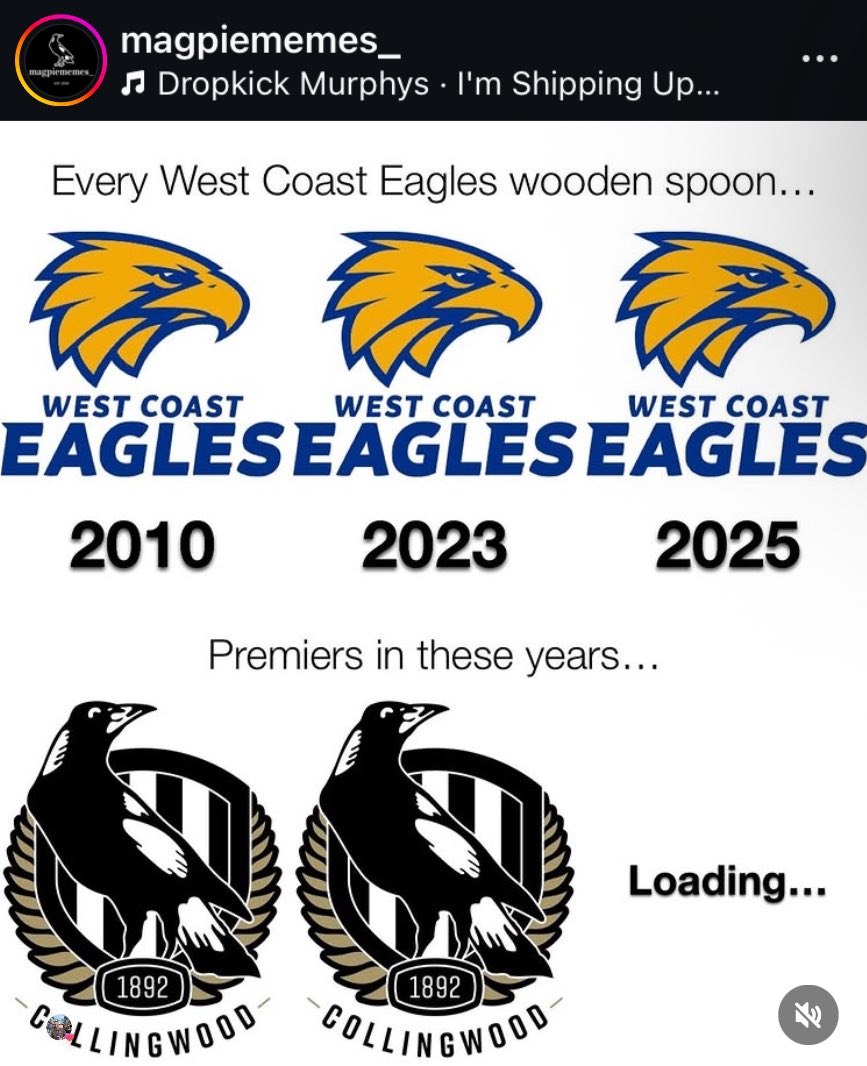 👀 #GoPies #AFLFinals #AFL