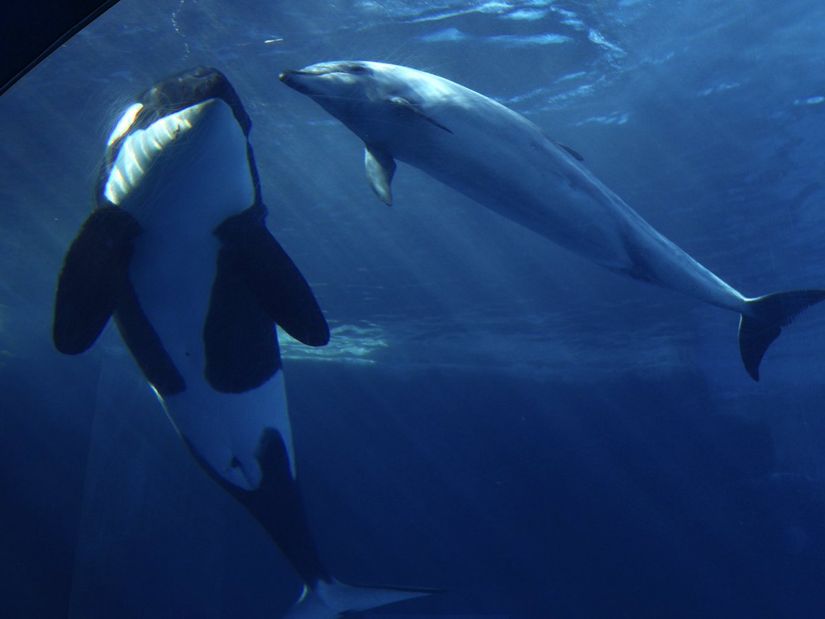 お友達になれたかな？

2025.08.30
#名古屋港水族館