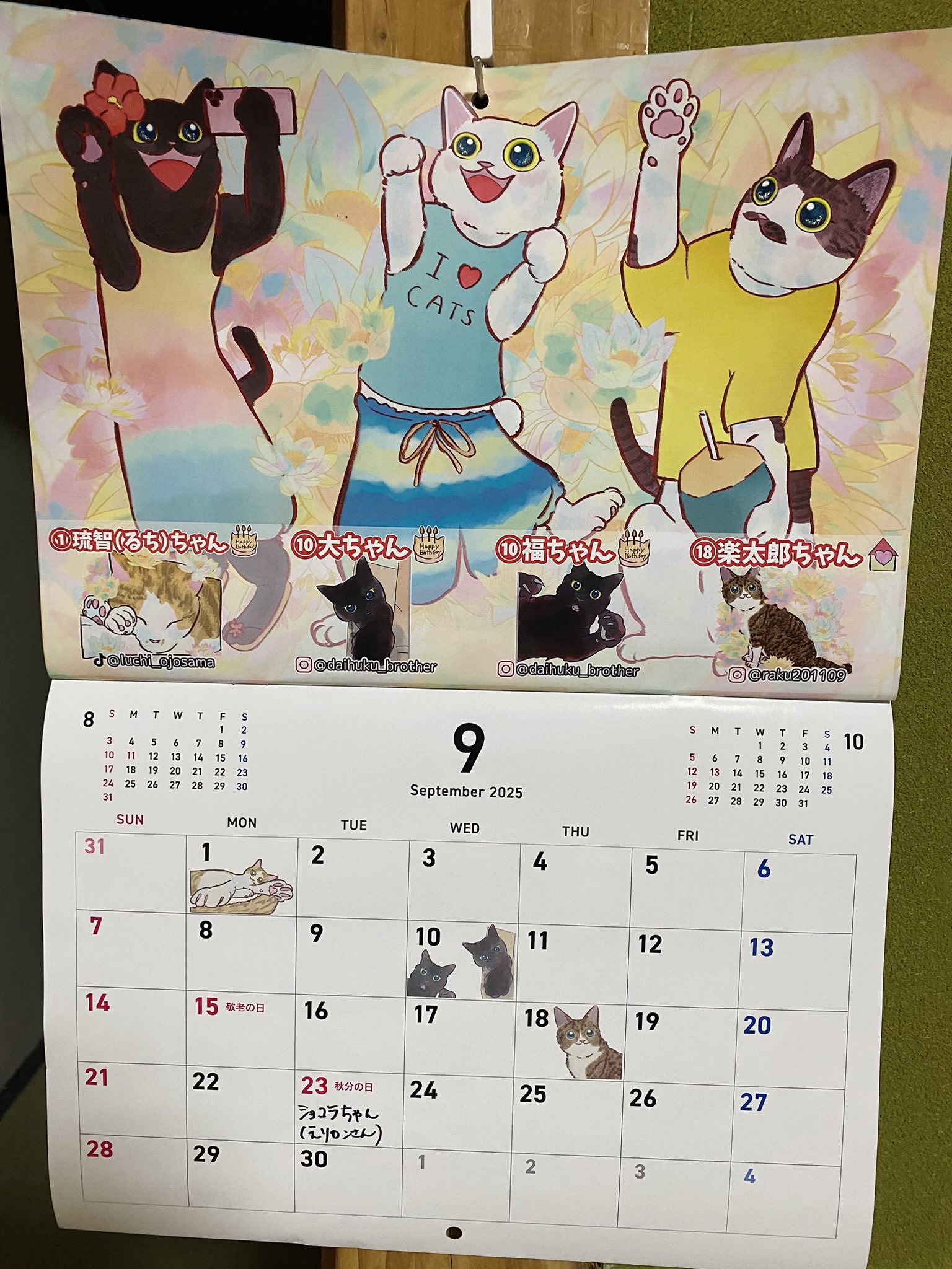 【絵画】『茶トラとひまわり』ねこイラストレーターあきみ 絵画】『茶トラとひまわり』ねこイラストレーターあきみ