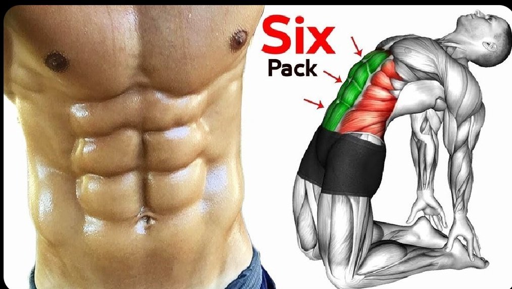 healthh_booster's tweet photo. 6 exercises that will strengthen your abs! 🔥🔥

- More resistance in bed
- Less back pain
- Less fat in the lower abdomen

-Thread- https://t.co/TndyElsRd6