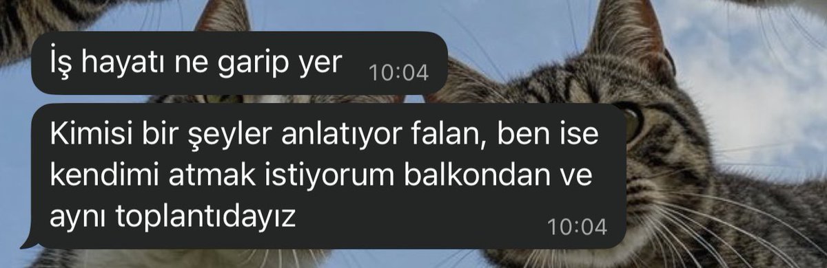 Yöneticin biz bir aileyiz cart curt derken gelen 1 (bir) yeni mesaj